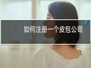 如何注册一个皮包公司