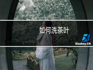 如何洗茶叶