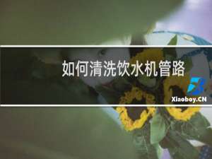 如何清洗饮水机管路