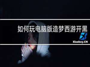 如何玩电脑版造梦西游开黑