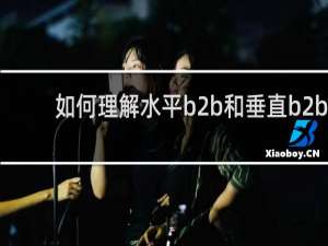 如何理解水平b2b和垂直b2b