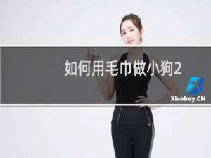 如何用毛巾做小狗2