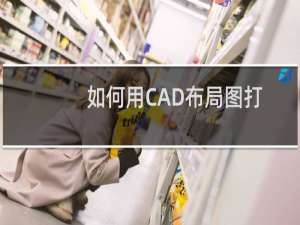如何用CAD布局图打印拼接同比例图