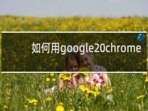 如何用google chrome