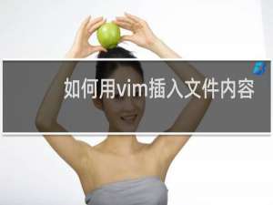 如何用vim插入文件内容
