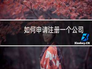 如何申请注册一个公司