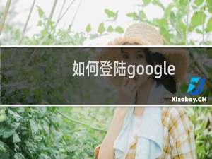 如何登陆google