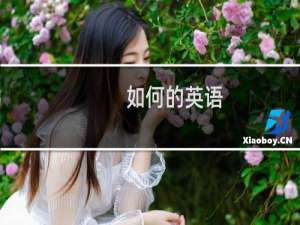 如何的英语