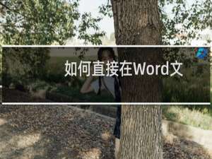 如何直接在Word文档中创建Excel表格