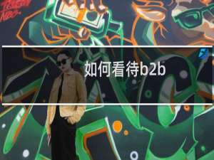 如何看待b2b