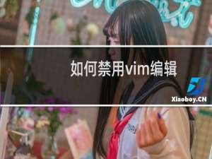 如何禁用vim编辑