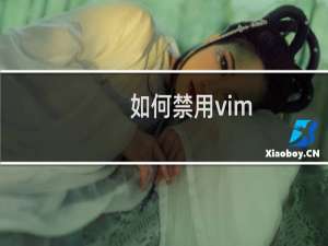 如何禁用vim