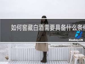 如何窖藏白酒需要具备什么条件
