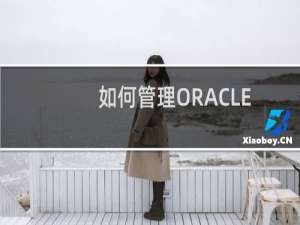 如何管理ORACLE数据库中的数据