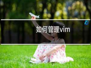 如何管理vim