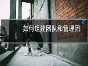 如何组建团队和管理团队（如何组建团队）