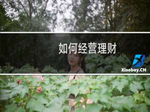 如何经营理财
