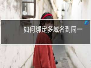 如何绑定多域名到同一主机