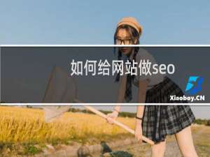 如何给网站做seo