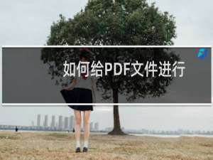 如何给PDF文件进行编辑？