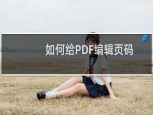 如何给PDF编辑页码