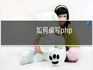 如何编写php