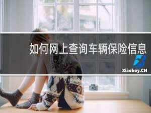 如何网上查询车辆保险信息