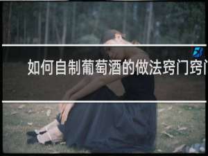 如何自制葡萄酒的做法窍门窍门