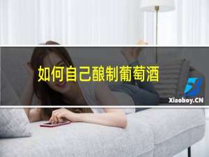 如何自己酿制葡萄酒