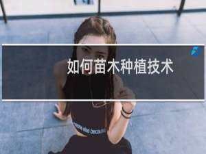 如何苗木种植技术