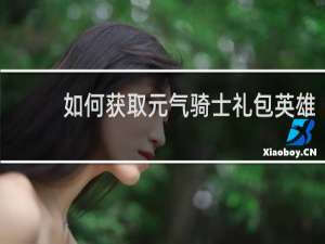 如何获取元气骑士礼包英雄