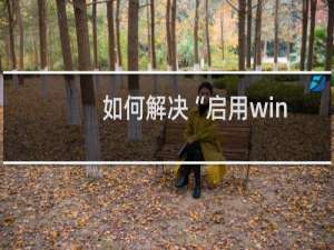 如何解决“启用windows功能NetFx3时出错”问题