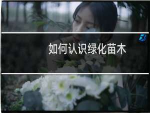 如何认识绿化苗木