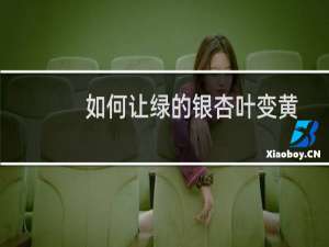 如何让绿的银杏叶变黄