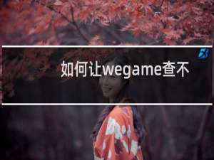 如何让wegame查不了lol战绩