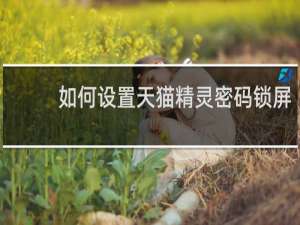 如何设置天猫精灵密码锁屏