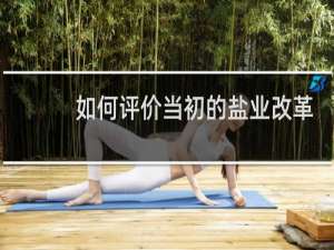 如何评价当初的盐业改革