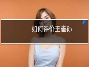 如何评价王雀孙