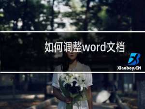 如何调整word文档中表格的行高和列宽