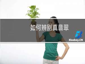 如何辨别真翡翠