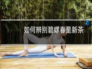 如何辨别碧螺春是新茶