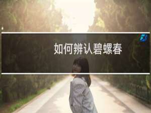 如何辨认碧螺春