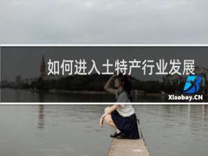 如何进入土特产行业发展