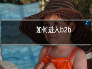 如何进入b2b