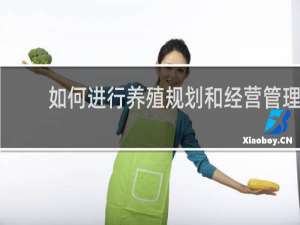 如何进行养殖规划和经营管理？