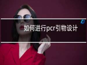 如何进行pcr引物设计