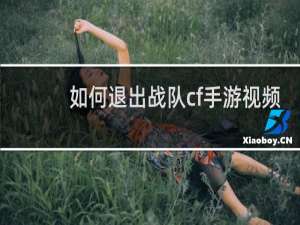如何退出战队cf手游视频