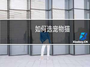 如何选宠物猫