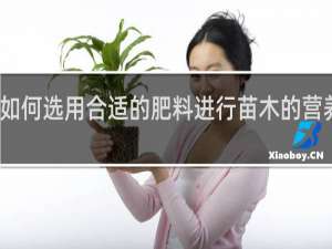 如何选用合适的肥料进行苗木的营养管理