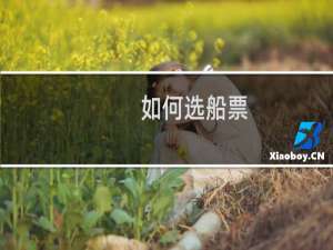 如何选船票